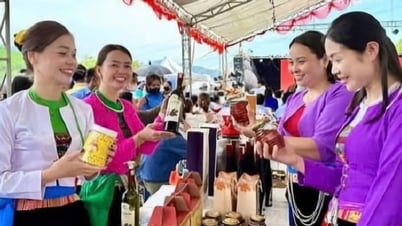 ទីផ្សារតំបន់ខ្ពង់រាបតភ្ជាប់ការប្រើប្រាស់ផលិតផលភ្នំ Hoa Binh