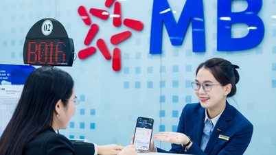 MB phục vụ 28 triệu khách hàng, tiếp tục dẫn đầu về CASA