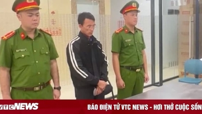 El subdirector de un banco de Quang Ngai y su esposa fueron arrestados por malversar más de 61 mil millones de VND.