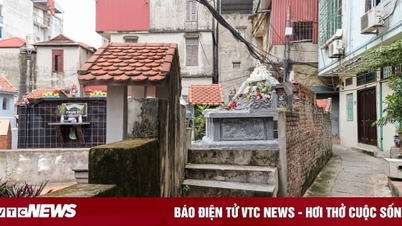 Giá rẻ cỡ nào mà hút khách?
