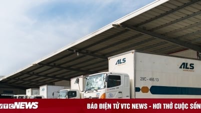 ALS는 기업을 위한 수입 및 수출 화물 운송 서비스를 홍보합니다.