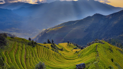 Về với Hoàng Su Phì mùa lúa chín
