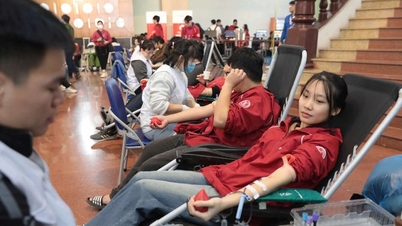 Hàng nghìn sinh viên Hà Nội hiến máu cứu người bệnh