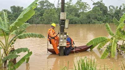 Hơn 5,6 triệu khách hàng được tái cấp điện sau bão, còn bao nhiêu hộ vẫn chưa có điện?