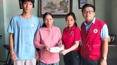Da Nang organizes many activities of the "Charity Tet" movement in the Spring of At Ty 2025