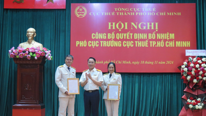 នាយកដ្ឋាន​ពន្ធដារ​ទីក្រុង​ហូជីមិញ​មាន​ថ្នាក់​ដឹកនាំ​ជាន់​ខ្ពស់​ពីរ​រូប​ទៀត។