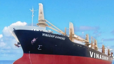 Viconship nhận chuyển nhượng hơn 12,76 triệu cổ phiếu Vinaship
