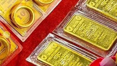 Giá vàng ngày 26/12/2024: Tiếp tục ghi nhận mức tăng nhẹ