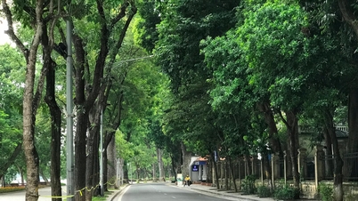 Hà Nội mùa tình yêu