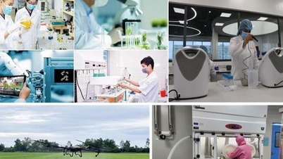 Chương trình hành động của Chính phủ thực hiện đột phá phát triển khoa học, công nghệ, chuyển đổi số