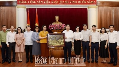 Tăng cường hợp tác tuyên truyền giữa Thông tấn xã Việt Nam tỉnh Nam Định