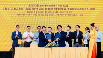 ក្រុមហ៊ុន T&T Group សហការក្នុងការគ្រប់គ្រងប្រតិបត្តិការ "ស្តង់ដារជប៉ុន" នៅគម្រោង T&T City Millennia Long An