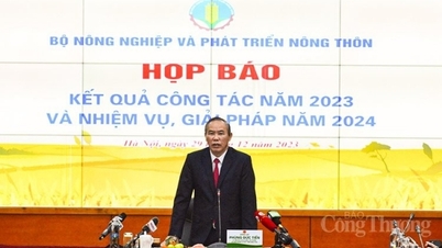 ការនាំចេញកសិផល រុក្ខាប្រមាញ់ និងនេសាទ នៅឆ្នាំ២០២៤ សម្រេចបាន ៥៤ - ៥៥ ពាន់លានដុល្លារ