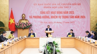 សកម្មភាពរបស់គណៈកម្មាធិការ និងគណៈកម្មាធិការដឹកនាំសម្រាប់ការផ្លាស់ប្តូរឌីជីថលត្រូវតែមានខ្លឹមសារ មិនមែនផ្លូវការ ឬទូទៅទេ។