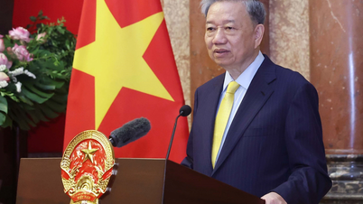 Indonesian President and Canadian Governor General congratulate President To Lam