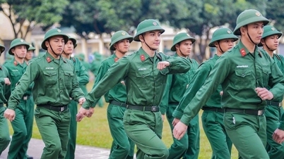 ករណីនៃការដកចេញពីបញ្ជីចុះឈ្មោះសេវាកម្មយោធា