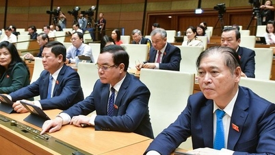 “Dao có tính sát thương cao” sẽ được quản lý theo 3 cấp độ