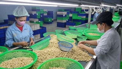 Căng thẳng Biển Đỏ leo thang, Hiệp hội ngành hàng khuyến cáo gì?