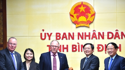 Bình Định và tập đoàn Đức thúc đẩy dự án điện gió ngoài khơi 4,6 tỉ USD
