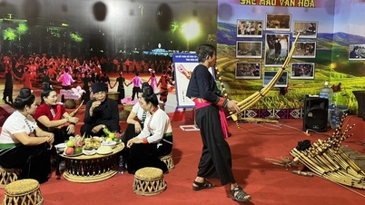អ្នកទេសចររំភើបរីករាយនឹងបទពិសោធន៍ទេសចរណ៍ភាគពាយ័ព្យនៅផ្លូវដើរ Nguyen Hue