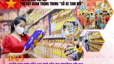 Lesson 3: Further promoting the role of the domestic market