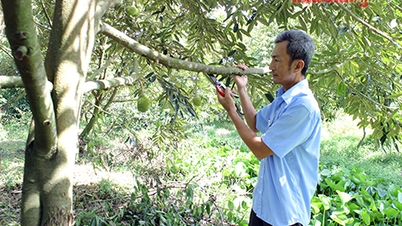 Lan tỏa phong trào thi đua