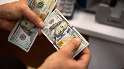 Giá ngoại tệ ngày 15/1/2025: Đồng USD tiếp tục suy yếu