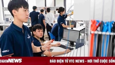 Ngành Kỹ thuật điều khiển và tự động hóa có dễ xin việc làm?