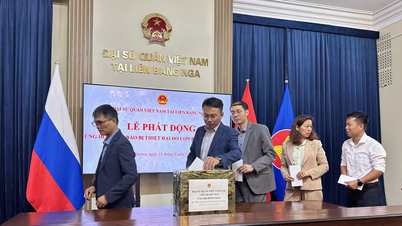 ស្ថានទូតវៀតណាមប្រចាំសហព័ន្ធរុស្ស៊ីបានបើកយុទ្ធនាការរៃអង្គាសថវិកាជួយជនរួមជាតិក្នុងការជម្នះការបំផ្លិចបំផ្លាញដោយសារព្យុះលេខ៣។