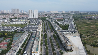 Minh bạch trong giá đất, đấu giá đất