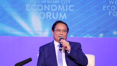 Chính phủ cùng TPHCM xây dựng thể chế để chuyển đổi công nghiệp