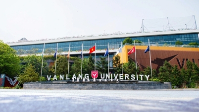 University in Ho Chi Minh City uses 9 foreign workers without permission