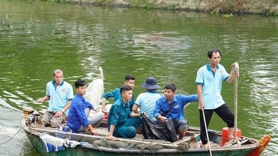 Đà Nẵng ra quân chiến dịch Tình nguyện hè, lấy huyện Hòa Vang làm trọng tâm