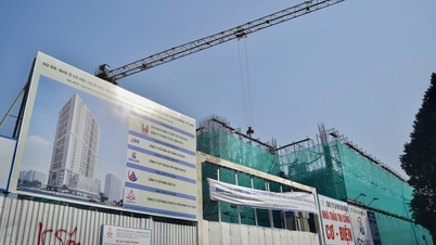 53% of the target of the project of 1 million social housing units has been achieved.