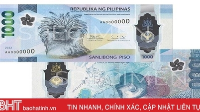 Southeast Asian country unexpectedly wins the award for the world's most beautiful banknote