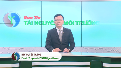 Bản tin Truyền hình TN&MT số 43/2023 (số 325)