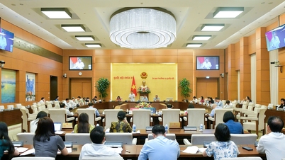 Nóng với thuế suất mặt hàng phân bón