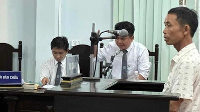 Người đàn ông lĩnh án tù vì... 1m3 gỗ muồng