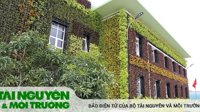 Giảm nhiệt đô thị bằng giải pháp làm mát bền vững