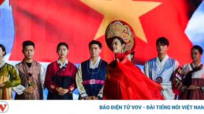 វៀត ណាម អូដាយ បង្ហាញ