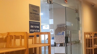Vì sao Công ty cổ phần Bytesoft Việt Nam trì hoãn thực hiện cam kết với nhà đầu tư?