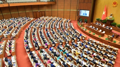 Transmisión en vivo de la 7ª sesión de la 15ª Asamblea Nacional (28 de mayo): La Asamblea Nacional discute el proyecto de Ley sobre la Capital (modificado)