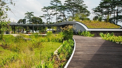 Những mảng xanh hoang sơ, yên bình giữa lòng Singapore