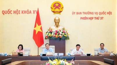 Đề xuất lương nhà giáo được xếp cao nhất trong hệ thống thang bậc lương