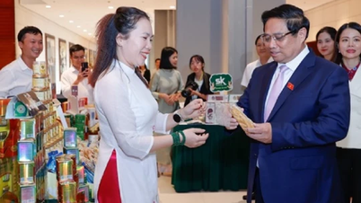 Đưa Việt Nam trở thành điểm đến không thể thiếu trong bản đồ Halal toàn cầu