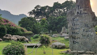 សូមអញ្ជើញមកកាន់ ថោងណាំ ដើម្បីទទួលបទពិសោធន៍បរិស្ថាន '3 ក្នុង 1'