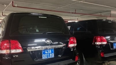 Đà Nẵng bán đấu giá 20 ô tô công dôi dư, giá khởi điểm 2,5 tỷ đồng
