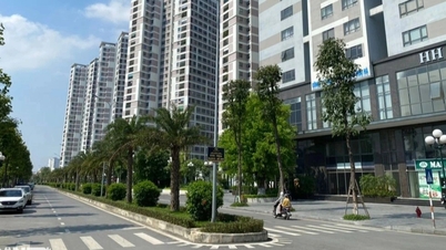 Chung cư ở Hà Nội bớt khan hiếm nhưng giá rao bán vẫn cao chót vót do đâu?