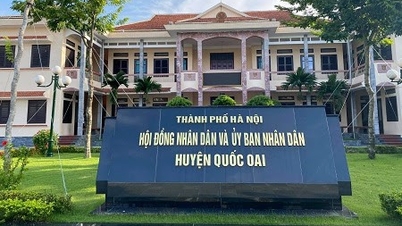 Approval of the 2025 Land Use Plan for Quoc Oai District