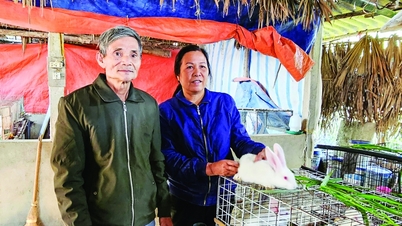 Tín dụng chính sách - điểm tựa giúp người dân vượt khó, thoát nghèo